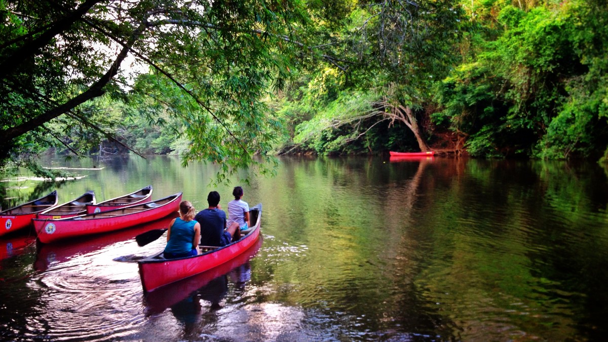 canoeing a jungle river