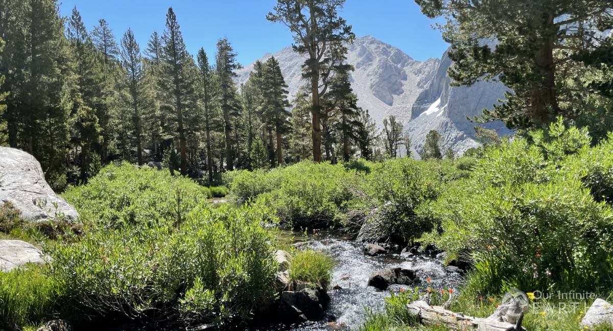 Meadow-trail