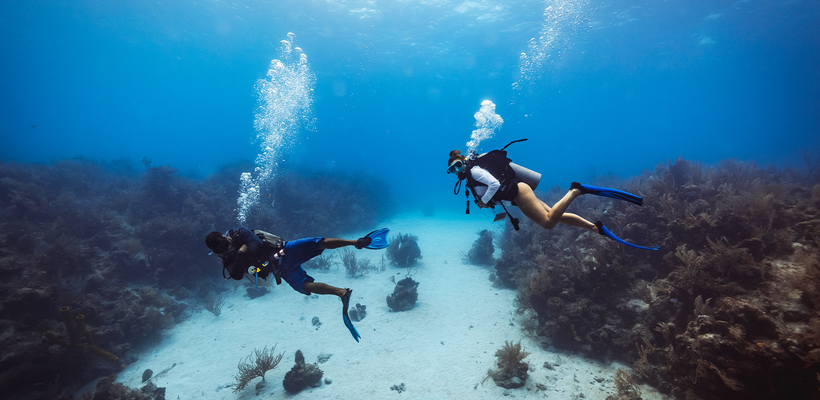 scuba diving belize