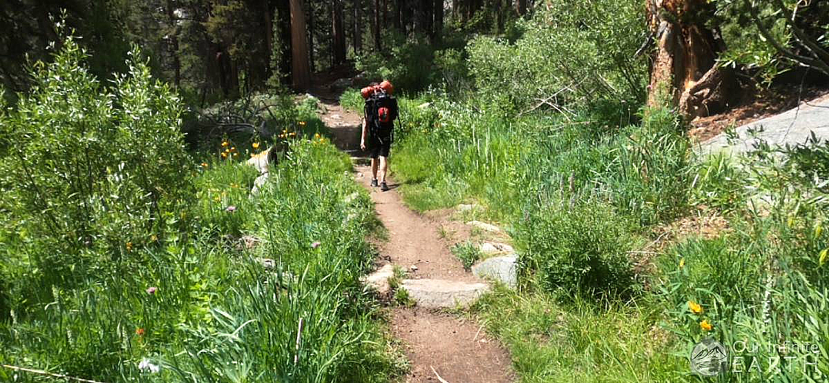 big-pine-meadow-trail