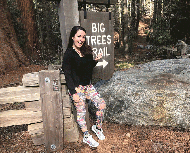 big-tree-trail-sequoia