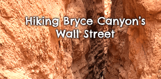 bryce-canyon-wall-street