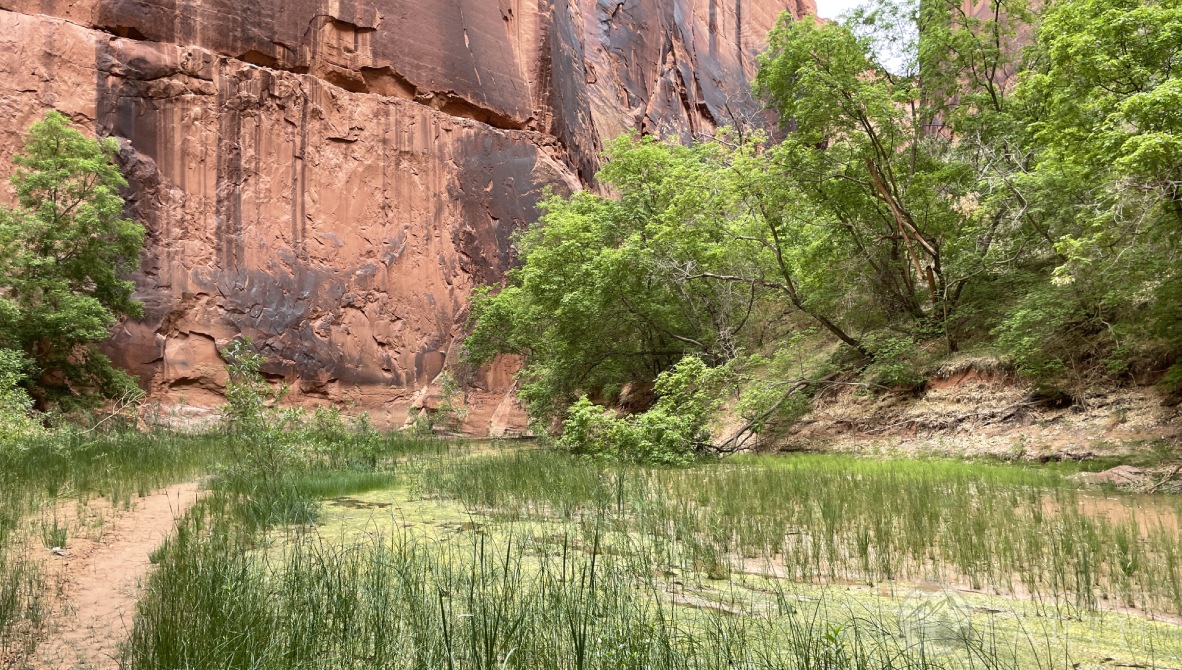 buckskin-gulch-exit