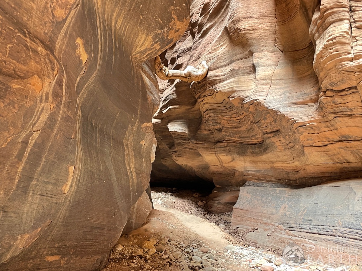 buckskin-gulch-logs