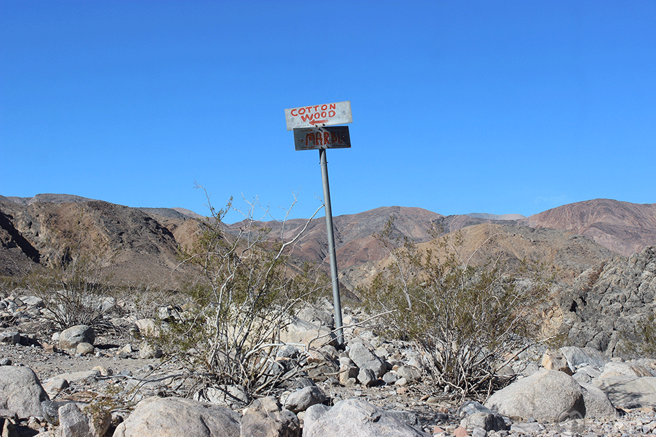 cottonwood-sign