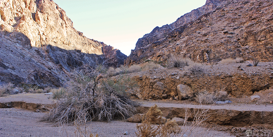 cottonwood canyon backpacking trail