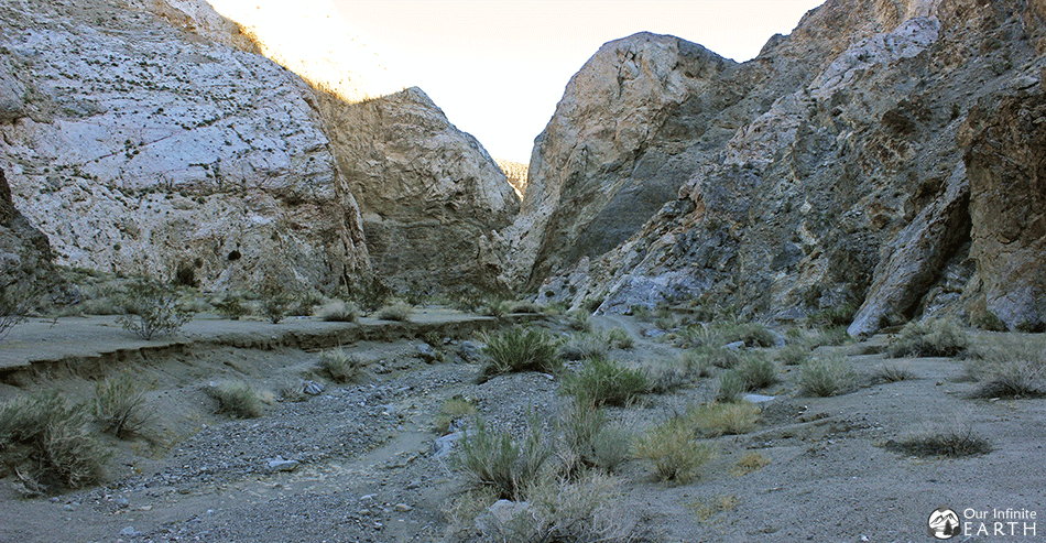 cottonwood canyon backpacking trail