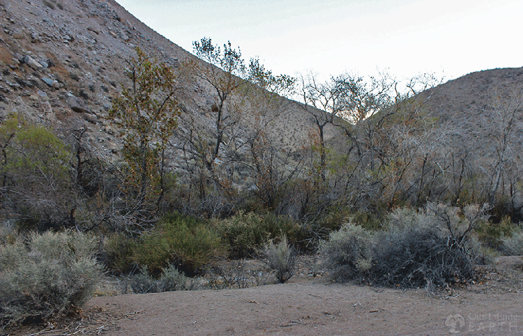 cottonwood canyon backpacking trail