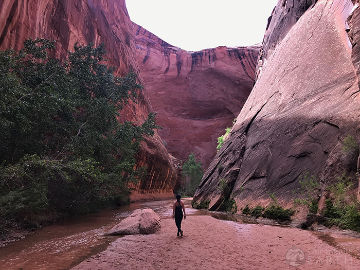 coyote-gulch