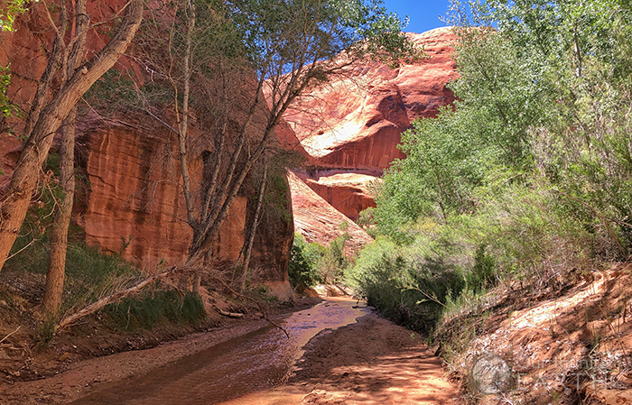 coyote-gulch