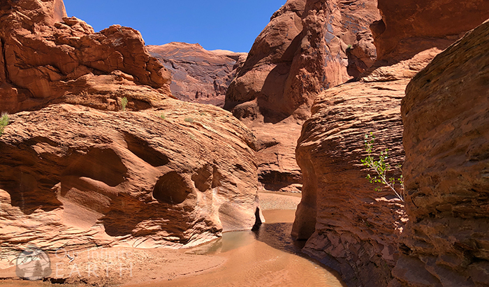 coyote gulch