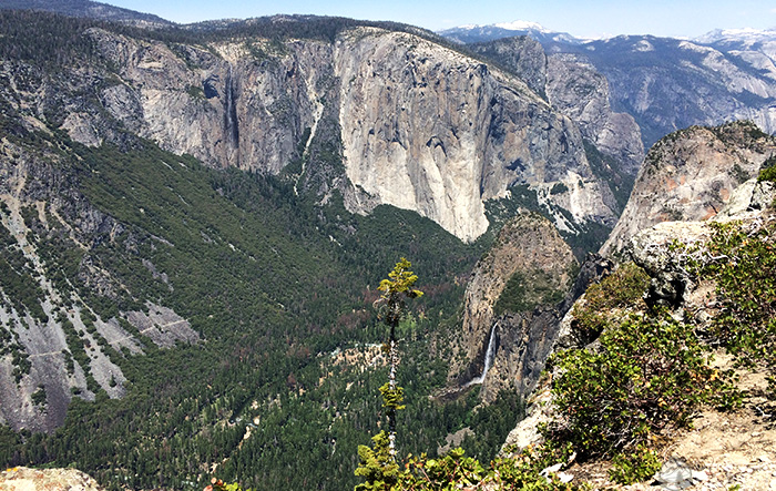 crocker-point-view-yosemite