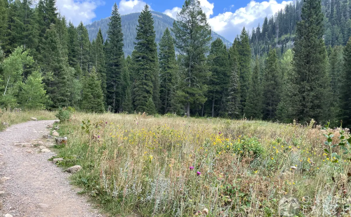 darby wind cave first meadow