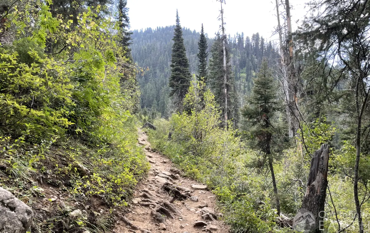 darby wind cave steep