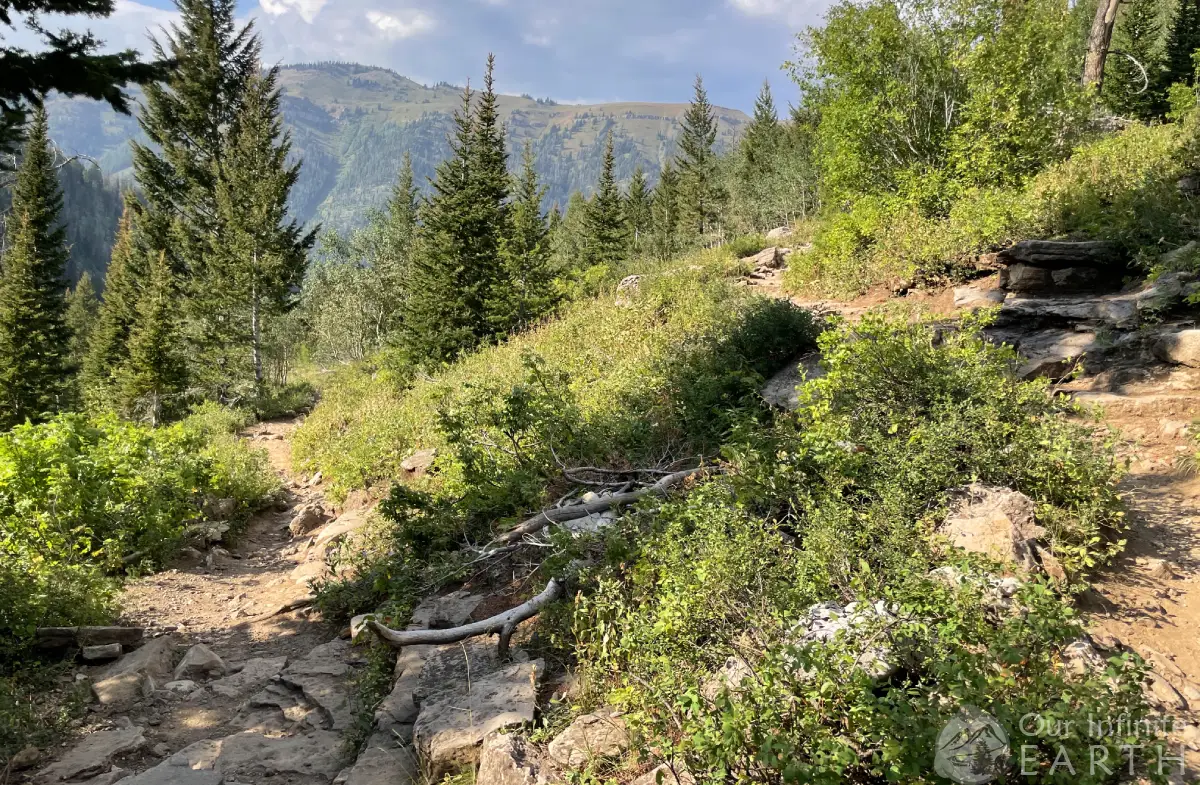 darby wind cave switchbacks