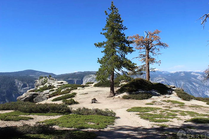 dewey-point-hike-yosemite