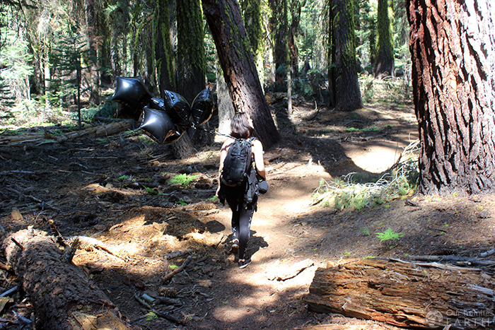 dewey-point-yosemite-trail