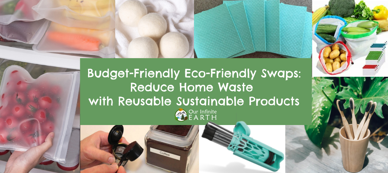 eco friendly home swaps