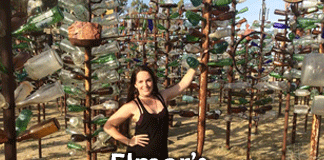 elmers-bottle-tree-ranch