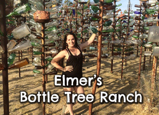 elmers-bottle-tree-ranch