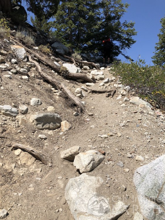 fern-lake-trail