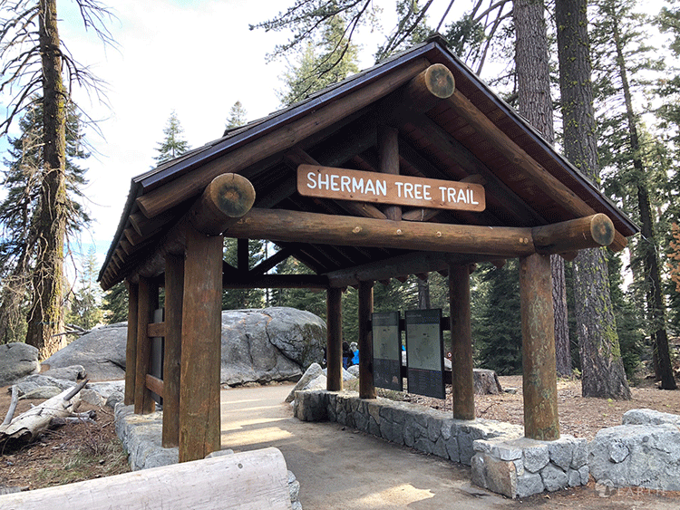 general Sherman tree