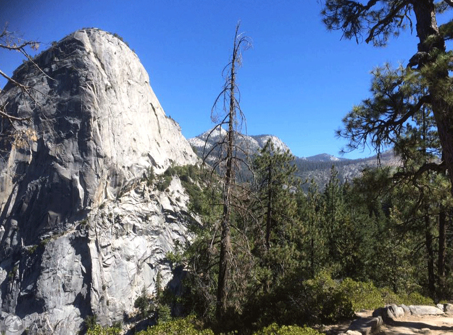 half-dome-view