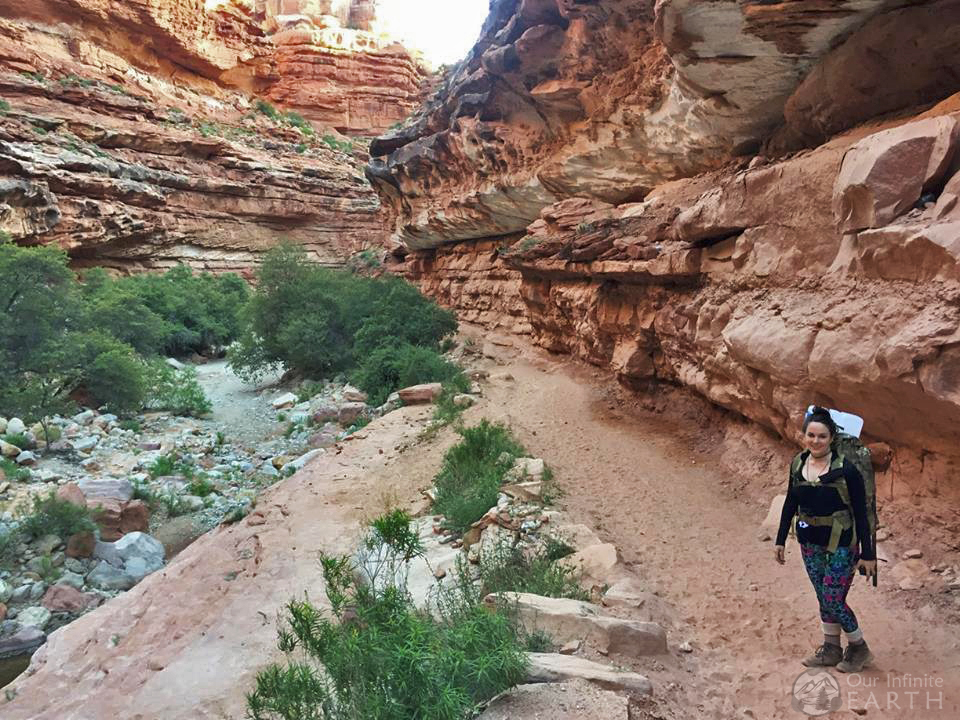 havasu falls hiking