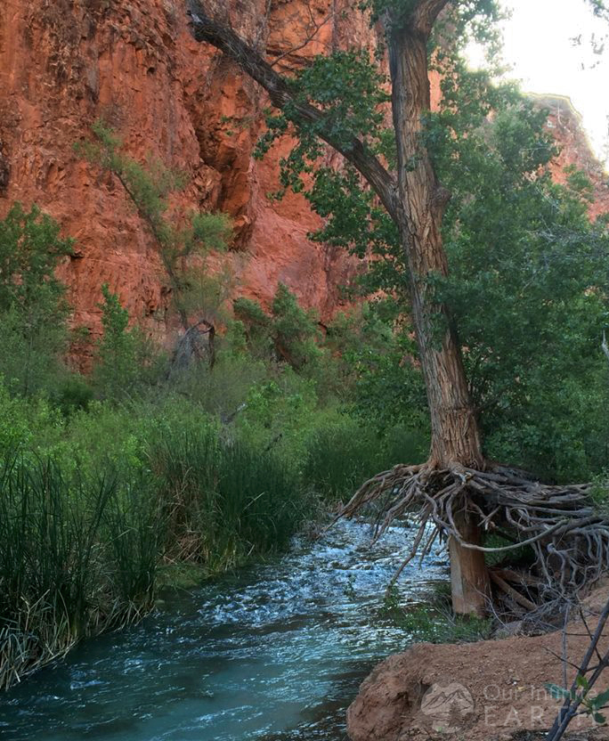 havasupai falls guide