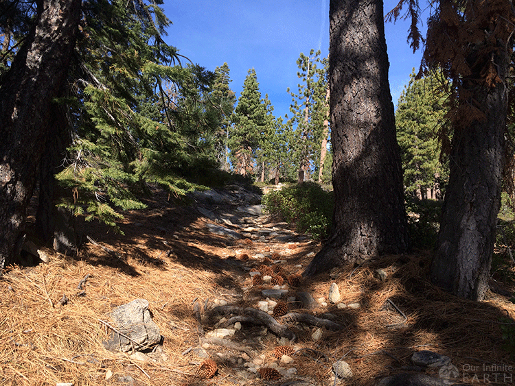 jackass-lake-hike-trail