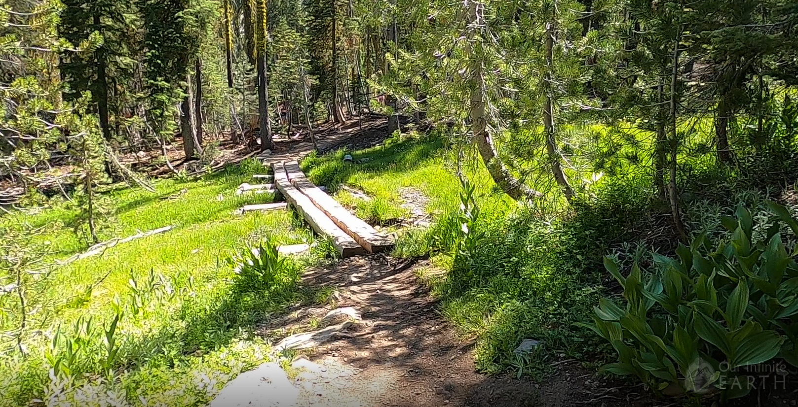 kings-creek-trail-1