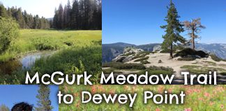 mcgurk-meadow-to-dewey-point-yosemite