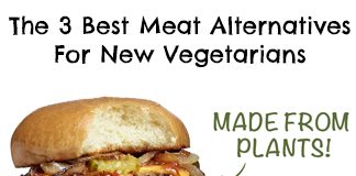 meat-alternative-for-new-vegetarians