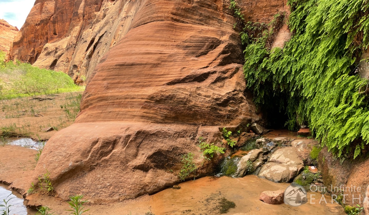 paria-canyon-big-spring