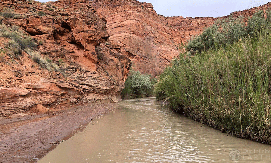 paria canyon trail