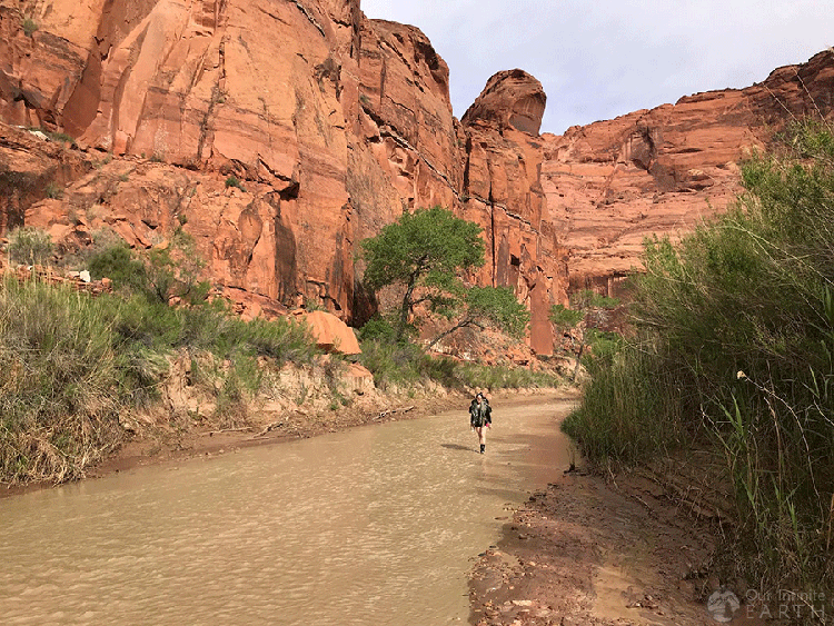 paria canyon