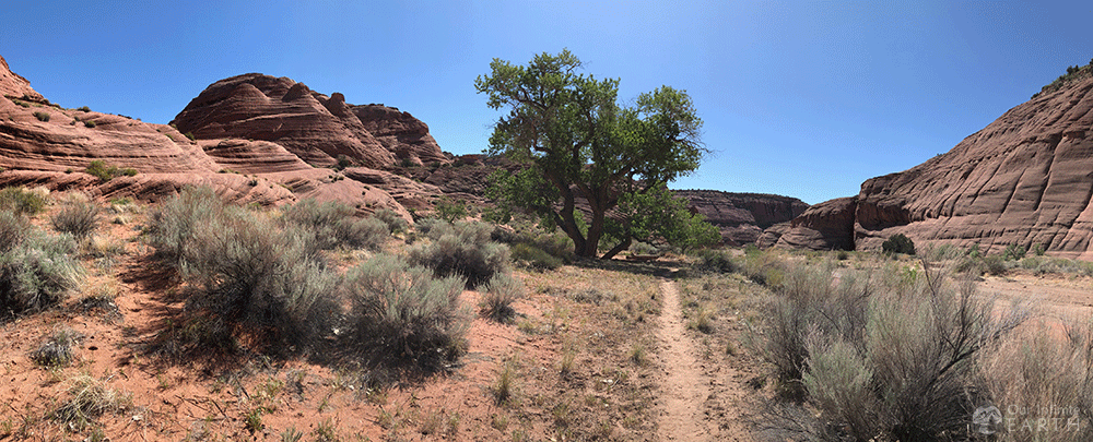 paria canyon trail