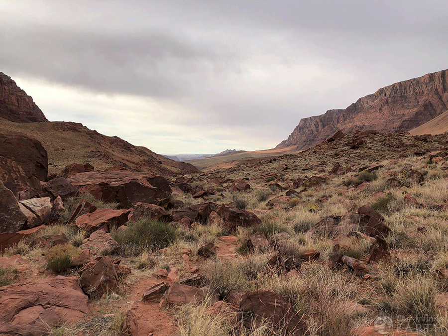 paria canyon desert