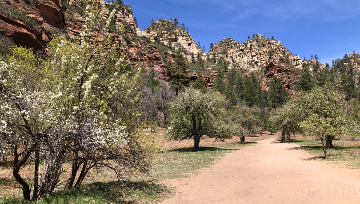 west-fork-oak-creek-apple-orchard