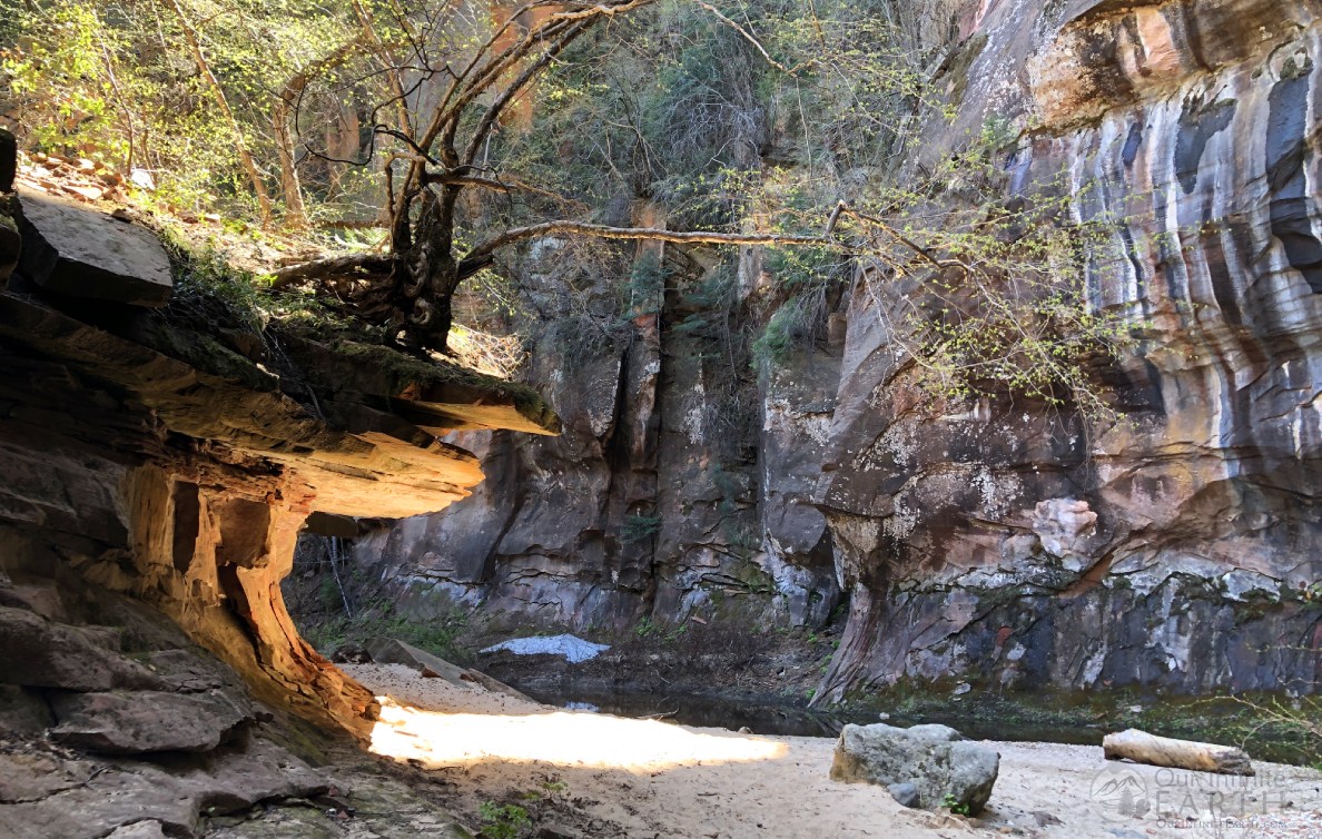 west-fork-oak-creek-tree-rock