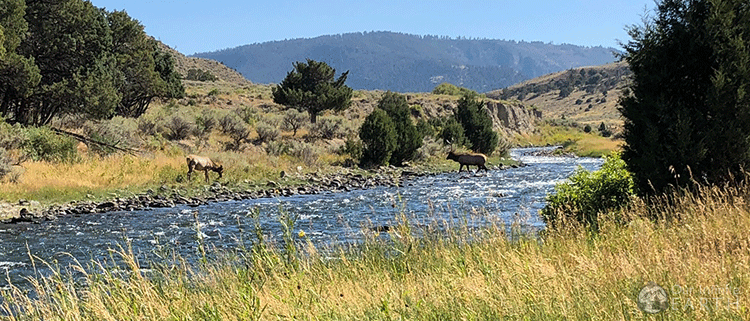 yellowstone-boiling-river1