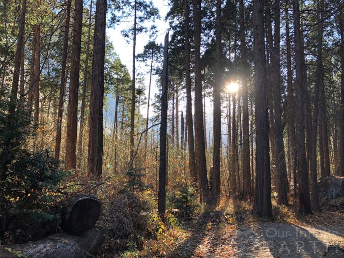 mirror lake trail