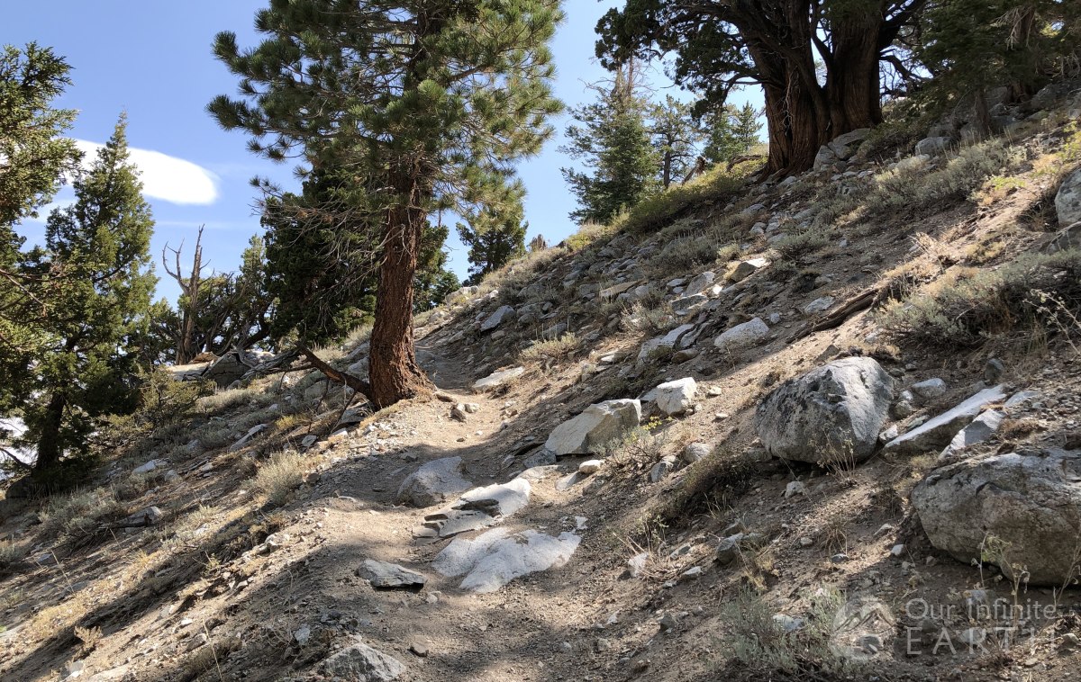 yost-lake-trail